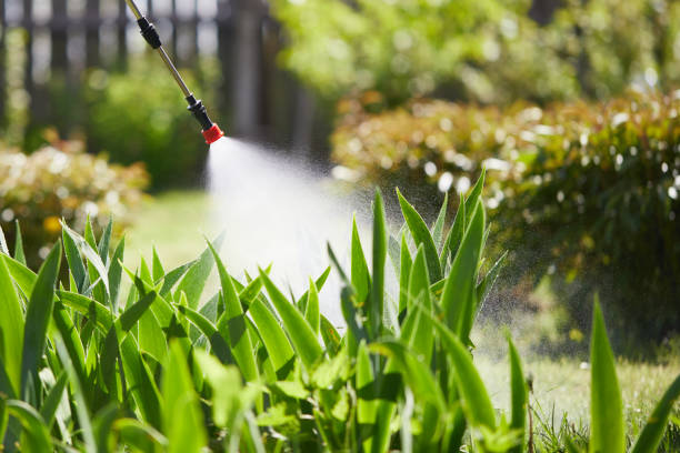 24/7 Emergency Mosquito Control experts in Red Boiling Springs, TN